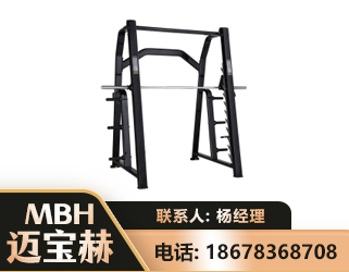 中卫史密斯机